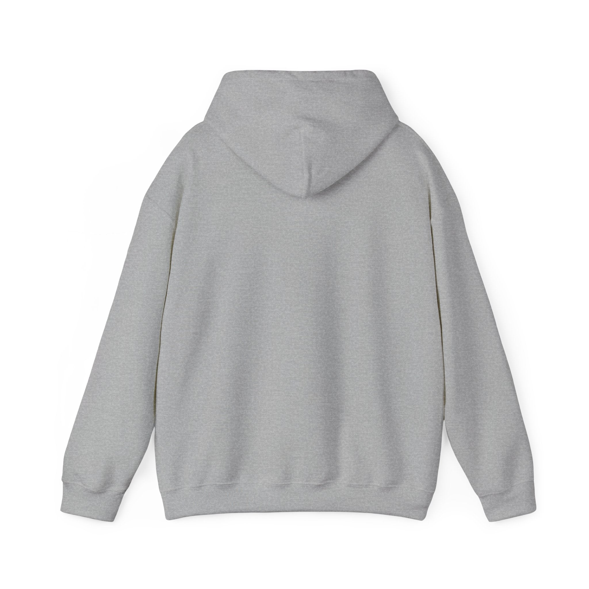 I Have High Expectations (Literally) Hot Air Balloon Hoodie