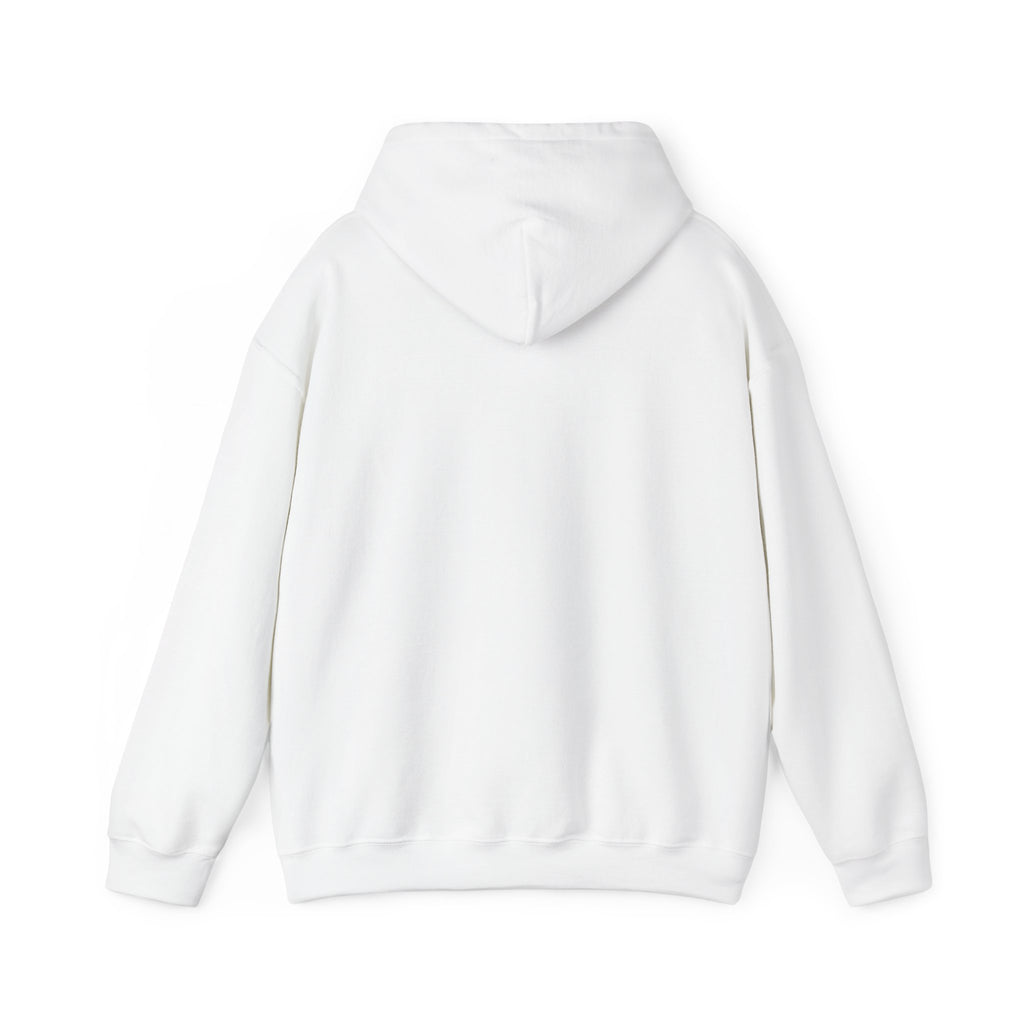 I Have High Expectations (Literally) Hot Air Balloon Hoodie