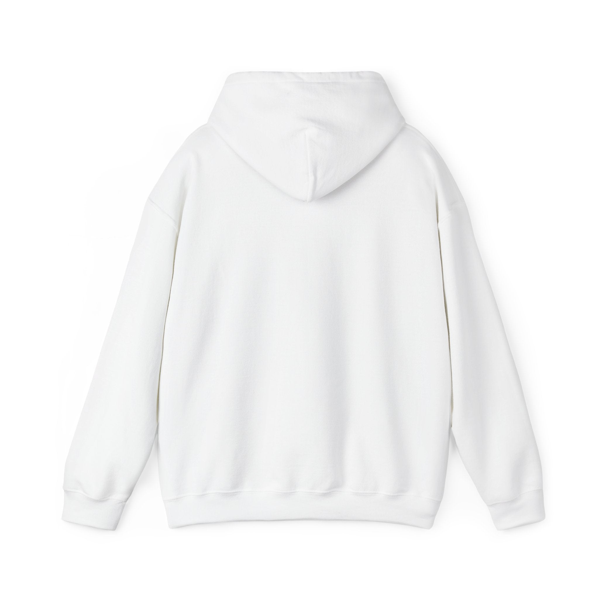 I Have High Expectations (Literally) Hot Air Balloon Hoodie