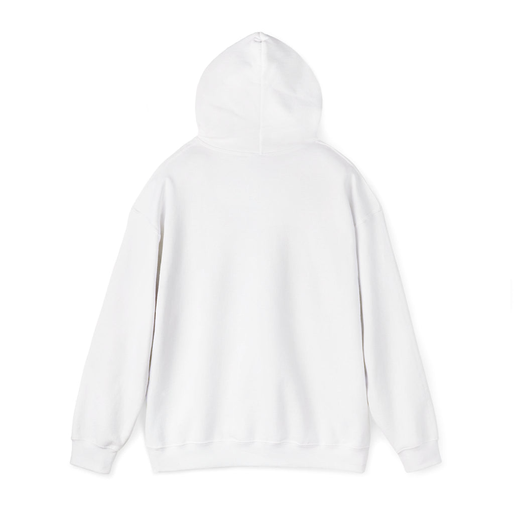 I Have High Expectations (Literally) Hot Air Balloon Hoodie