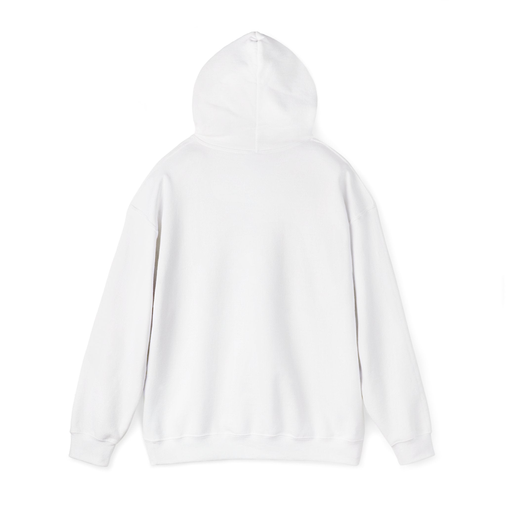 I Have High Expectations (Literally) Hot Air Balloon Hoodie