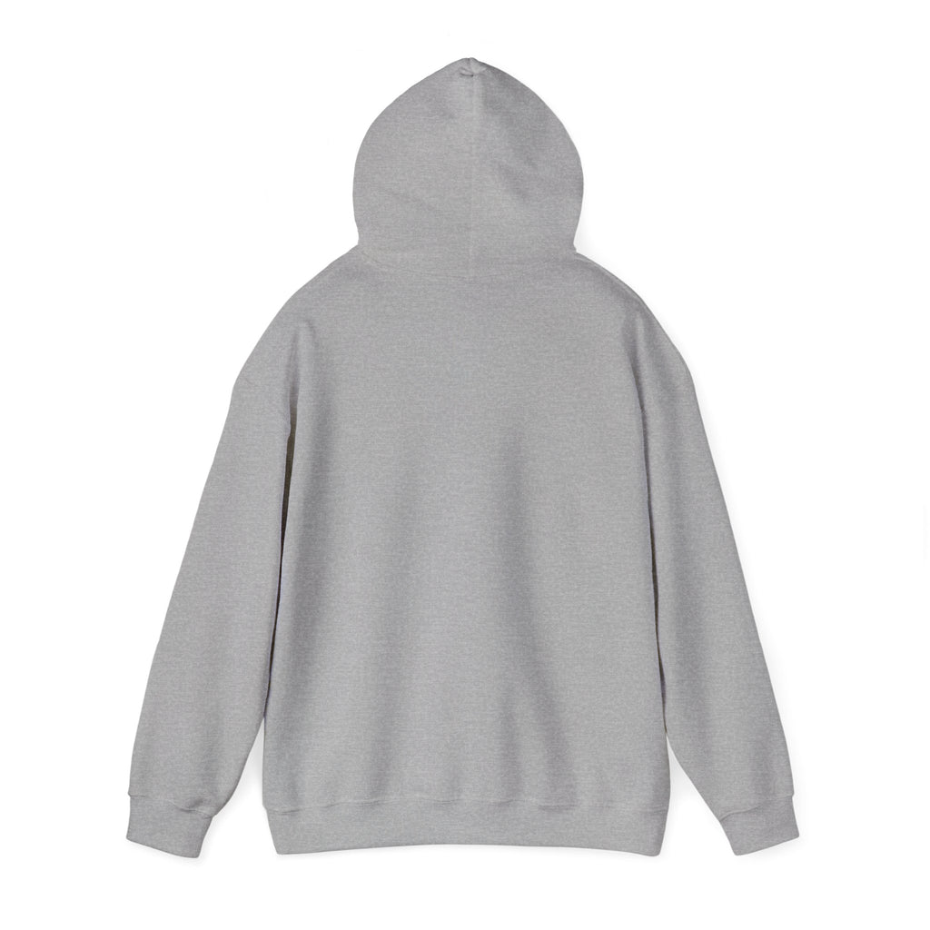 I Have High Expectations (Literally) Hot Air Balloon Hoodie