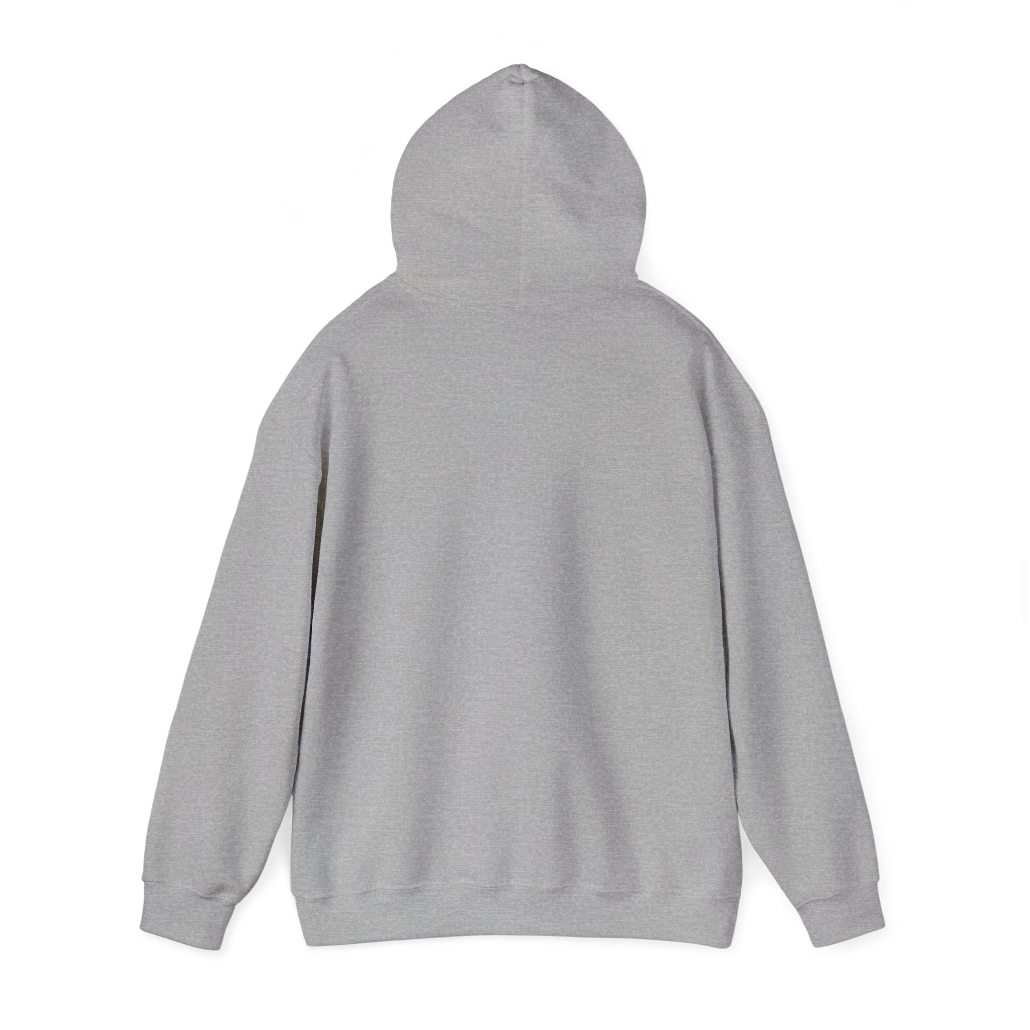 I Have High Expectations (Literally) Hot Air Balloon Hoodie